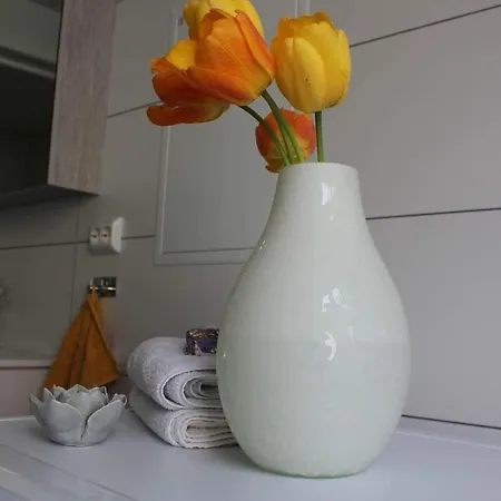 Terrace Aalesund, Free Parking Appartement